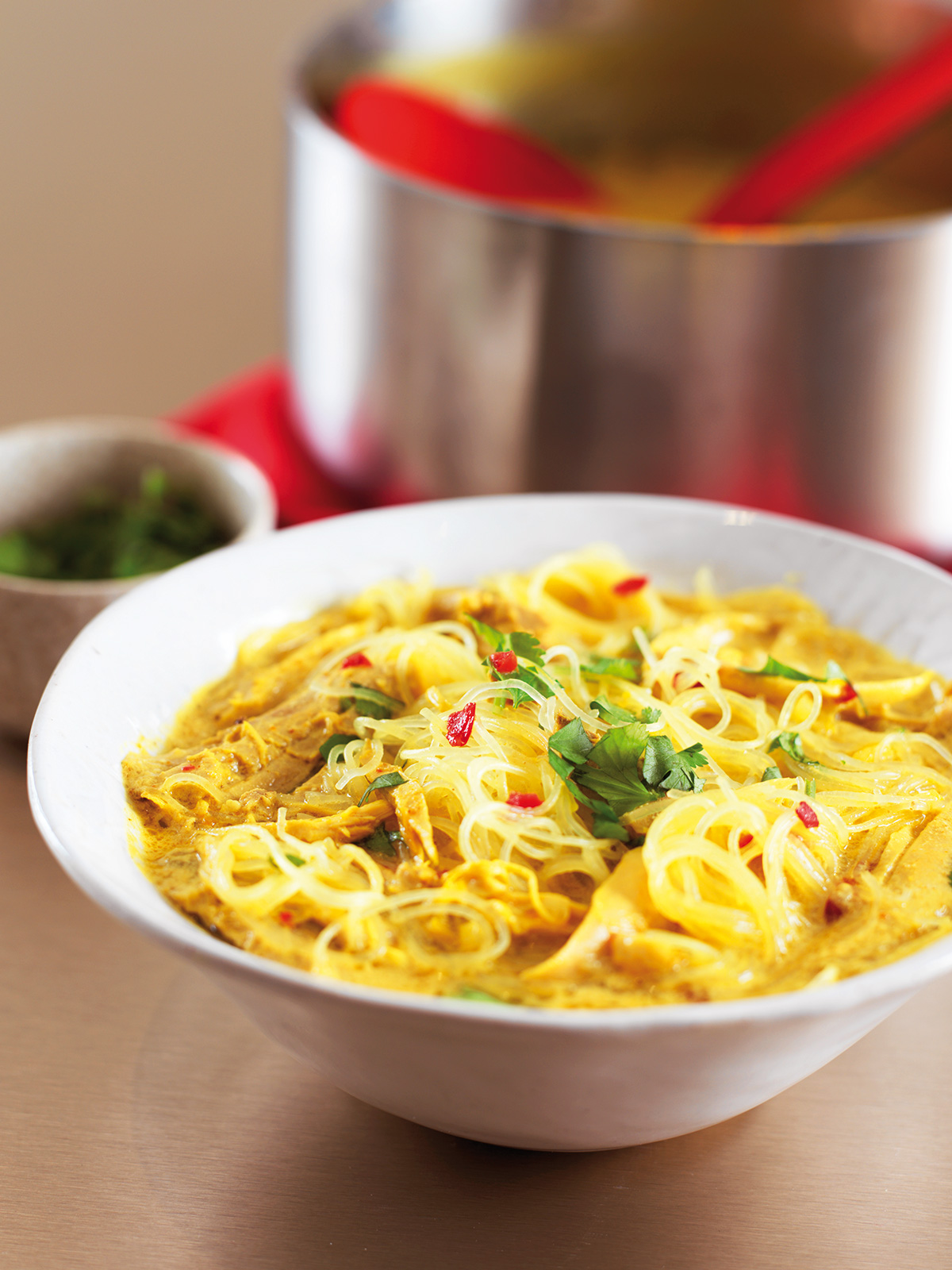 Nigella Lawson's Unique Asian Chicken Noodle Soup for One